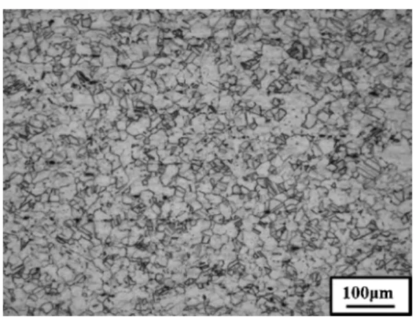 Fig. 1 Representative optical microstructure taken from the as received specimen with 17 mm grain size of KA SUS304 steel.