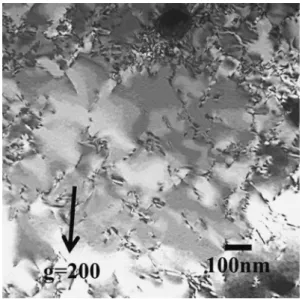 Fig. 13 Representative TEM micrograph taken from the specimen with 5 plastic strain of KA SUS304 steel.