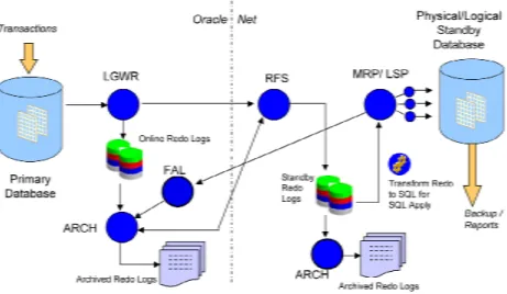 図 3: Oracle Data Guard プロセス・アーキテクチャ