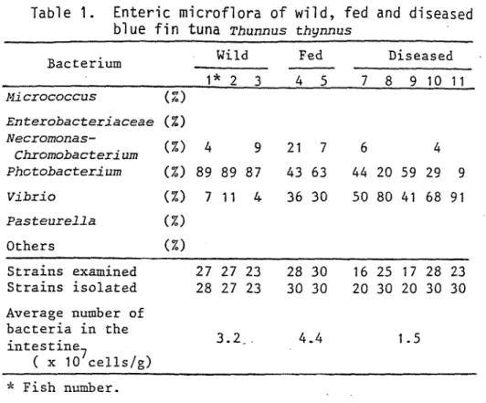 Table i. Enteric blue fin microflora of  tUna Thunnus wild, fed thynnus and diseased       
