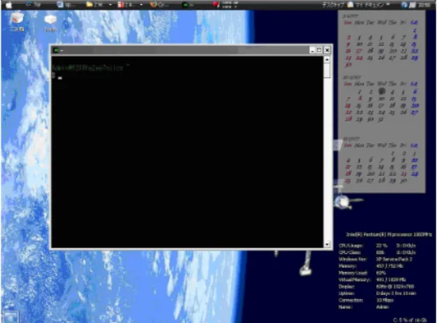 図 6: Cygwin コンソール画面
