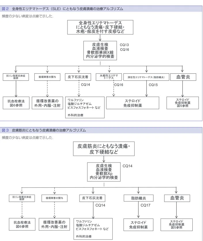 図 2 全身性エリテマトーデス（SLE）にともなう皮膚潰瘍の治療アルゴリズム 頻度の少ない病変は点線で示した． 図 3 皮膚筋炎にともなう皮膚潰瘍の治療アルゴリズム 頻度の少ない病変は点線で示した． 日本皮膚科学会の他のガイドラインを参照いただきた い． 皮膚筋炎にしばしば出現する皮疹としては，手指関 節背面などの角化性紅斑であるゴットロン徴候，拇指 の尺側，示指・中指橈側の角化性紅斑であるメカニッ クハンド，眼瞼周囲の紫紅色浮腫性紅斑のヘリオト ロープ疹，顔面紅斑や浮腫，多形皮膚萎縮，掻破によ る線状皮膚