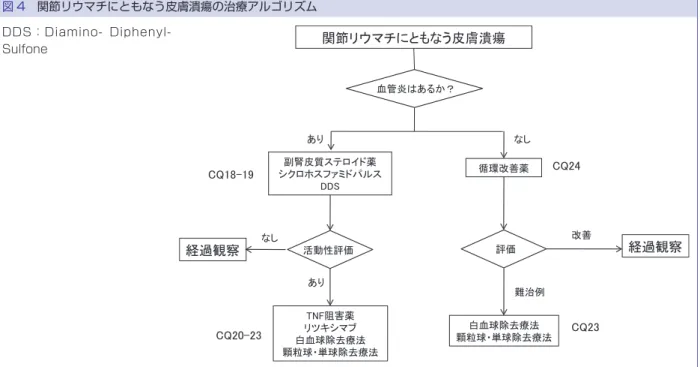 図 4 関節リウマチにともなう皮膚潰瘍の治療アルゴリズム  DDS：Diamino- Diphenyl-Sulfone 血管炎性」をしっかりと鑑別することが重要である． 関節リウマチに伴う血管炎を総称して「リウマトイド 血管炎」というが，本症では他の血管炎（結節性多発 動脈炎・アナフィラクトイド紫斑・Wegener 肉芽腫 症・Churg-Strauss 症候群など）と比較して侵される 血管のレベルが非常に多彩であるのが特徴である．つ まり，リウマトイド血管炎は脂肪織の小動脈における 壊死性血管炎と真皮の細