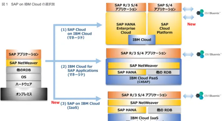 図 1   SAP on IBM Cloud の選択肢