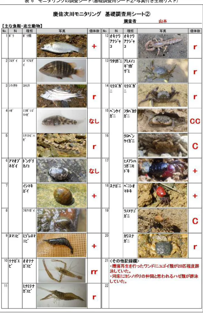 表 6  モニタリングの調査シート(基礎調査用シート②-写真付き生物リスト) 