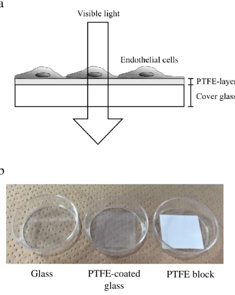 Fig. 1  (a) An image of the PTFE-coated glass. (b) The  appearance of  each material. 