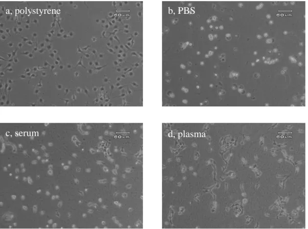 Fig. 9  (a) A representative image of the RAOEC on the surface of  polystyrene. (b~d) Representative images of the RAOEC on the  surface of the PTFE-coated glass treated with each solution,  (b) PBS, (c) Serum, (d) Plasma, 