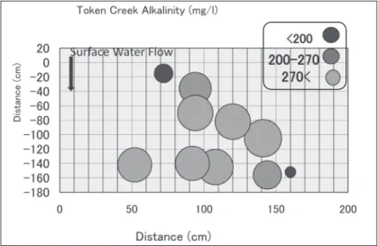 Figure 8 Distribution of alkalinity concentrations (mg/l) in Token Creek spring complex
