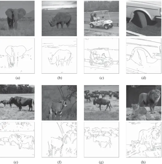 Fig. 10. The results on the RuG data set: (a) elephant_2 (F = 0.791), (b) rhino (F = 0.748), (c) golfcart (F =  0.784), (d) tire (F = 0.758), (e) buffalo (F = 0.699), (f) gazelle (F = 0.766), (g) gnu (F = 0.785), and (h) lions (F
