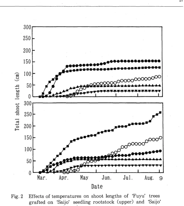 Fig. 2  Effects of temperatures  on  shoot  lengths  of  'Fuyu'  trees  grafted  on  'Saijo'  seedling  rootstock  (upper)  and  'Saijo'  seedling  trees  Clower) 