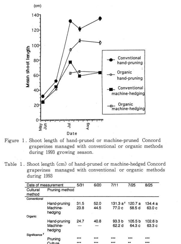 Figure  1.  Shoot  length  of  hand-pruned  or  machine-pruned  Concord  grapevines  managed  with  conventional  or  organic  methods  during  1993  growing  season