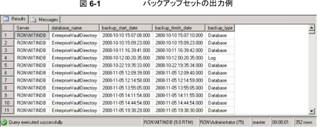 図 6-1 バックアップセットの出力例