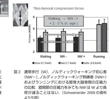 図 1   通常歩行（ W ） ，ノルディックウォーキング（ NW ） およびランニングにおける鉛直方向の床反力の比 較．床反力から判断しても NW は W より負荷が減 ることはない． NW の床反力はランニングに比べ れば，はるかに小さい． （Schwamerder 2009 の資 料より引用） 図 2   通常歩行（ W ） ，ノルディックウォーキング初心者（NW−），ノルディックウォーキング熟練者（NW+ ）およびランニングにおける脛骨大腿骨間の圧縮力の比較．膝関節の圧縮力をみてもNWはWより負荷が