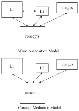 Figure : Two models of language interconnection in which L2 words are associated to L1 words  (Word Association Model) , or directly linked to concepts (Concept Mediation Model) ,  Poter, So, von Eckhardt and Feldman (1984)