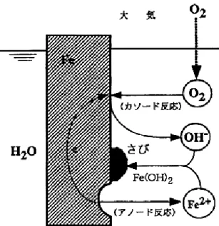 図 1-2  淡水環境中の腐食機構の模式図 3) 