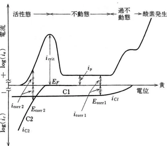 図 1-6  不働態化現象を示す合金の分極曲線 12)