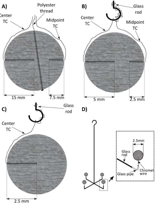 Figure 4.2 Lignite samples of A) 30 mm, B) 10 mm, C) 5 mm, D) 2.5 mm in diameter 