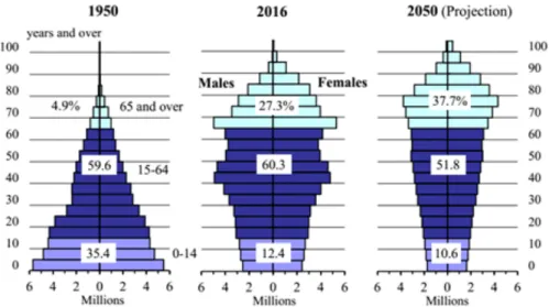 Figure 3.3: Changes in the Japan Population Pyramid, Source: Statistics Bureau, MIC; Ministry of Health, Labour and Welfare