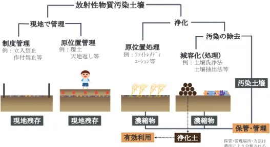 図 -2.4   掘削除去の様子 2.3   地盤中における放射性物質の挙動   地表面に沈着した放射性物質は，①自己崩壊に伴う濃度減衰，②地盤中での移動，③ 風雨による飛散・流出，④植物等による吸収により，その濃度を変化させながら移動す る 2-15) 。 2.3.1   自己崩壊に伴う濃度減衰   自己崩壊に伴う濃度減衰は，放射性物質の半減期により支配される。半減期とは，放 射性物質の崩壊により，残存率が初期から半分になるまでの時間である。図 -2.5 に 131 I （約 8 日）， 134 Cs （
