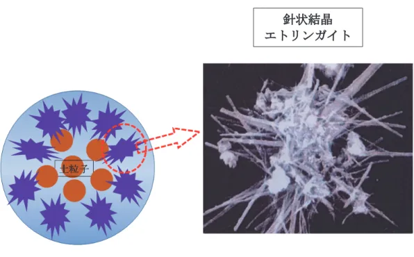 図 -3.18   石膏系中性固化材の固化に至るまでの流れ CaSO 4 ・ 2H 2 O   ⇔  CaSO 4 ・ 1/2H 2 O + 3/2H 2 O    また，石膏系中性固化材は固化材自身が中性であるうえ，固化反応が中性域のまま終 了するため，セメント系固化材等に比べて，周辺環境への影響を変化させないことが考 えられる。また，反応時における発熱量が小さいため，発熱による発火・火傷の恐れが ないということがいえる。   石膏系中性固化材はこのような利点がある一方で，日本国内において天然石膏は，ほ 