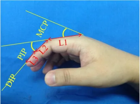 Figure 9 Index finger antropometric parameter 