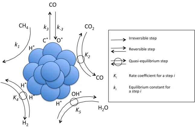 Figure 3.1 Sequence of the elementary steps for the methane steam reforming on the Ni catalyst  according to Wei and Iglesia [32] 