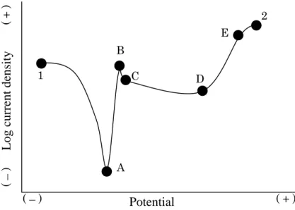 Figure 2.6. Diagram of anodic scan of potentiodynamic polarization 