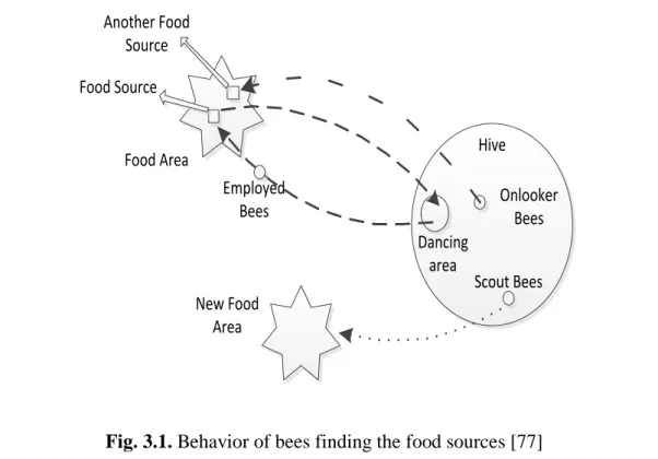 Fig. 3.1. Behavior of bees finding the food sources [77] 
