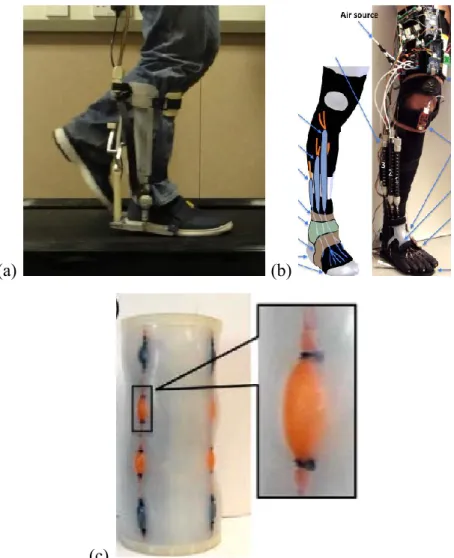 Figure 7 (a) AAFO; (b) bio-inspired active soft orthotic for ankle-foot pathologies; 