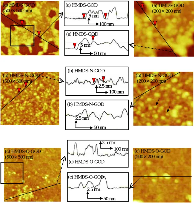 図 2-11  各表面処理した HMDS プラズマ重合膜表面に GOD を吸着させた膜表面の AFM