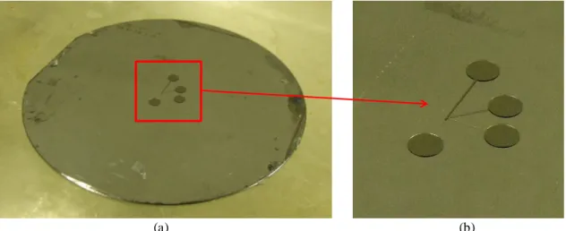 Fig. 3-8 the micro structure of the mold of the test channel on a silicon wafer made by  photolithography method, (a) a general view, (b) a enlarged view 
