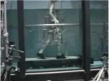 Fig. 3.19: Underwater gait-training orthosis[45]