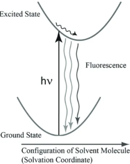 Fig. 2. Excitation wavelength dependence of the steady 