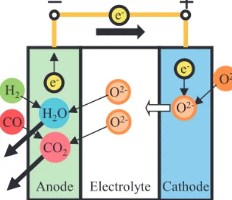 Fig. 1. Operation principle of SOFC. 