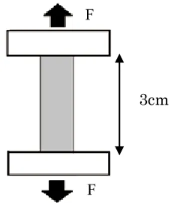 Fig. 2. A Schema of the shear test and a front view