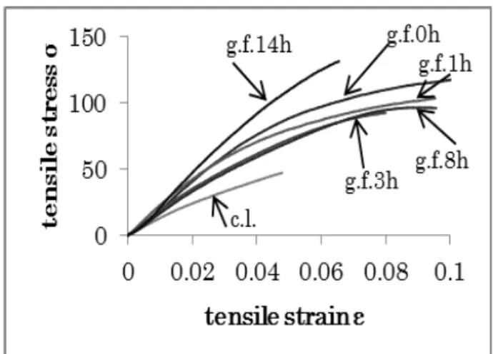 Fig. 3. The maximum tensile load in the tensile test (n = 6).   