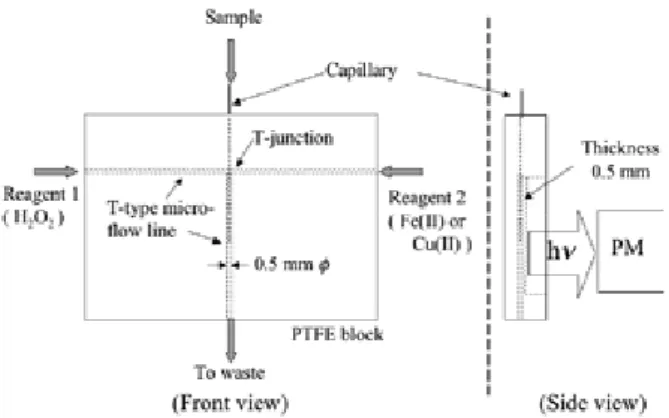 Fig. 1. Schematic diagram of PTFE CL detection cell.