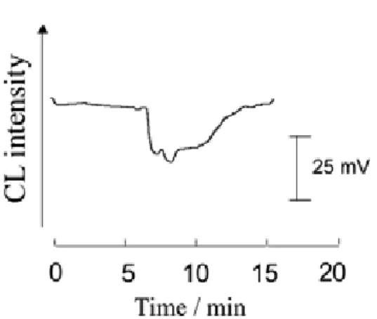 Fig. 4. Electropherogram of catechin (catechin mixture  from green tea) in the indirect detection method using the  Cu(II) catalyst