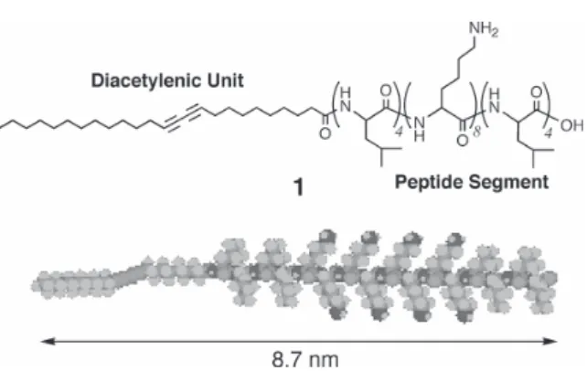 Figure 1. Chemical structure of a novel peptide-surfactant  with  diacetylene  unit  (1)  used  as  a  building  block  for  self-assembly, and its schematic illustration
