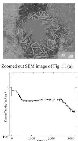 Fig. 13. CA of 3600 seconds electrolysis.