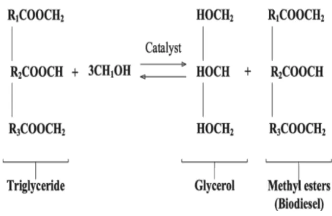 Fig. 1. Trans-esterification process from biodiesel. 