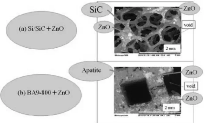 Table 1. Elution of ZnO granules.   
