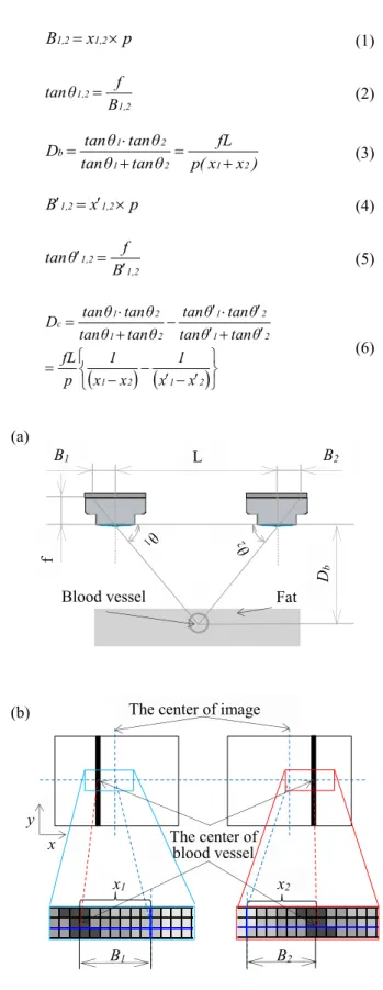 Fig. 1. Stereo method and pixel configuration of blood  vessel image; (a) schematic view of stereo method,  (b) pixel configuration of blood vessel image