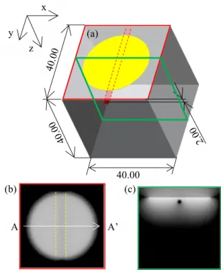Fig. 5. Results of optical propagation analyses  (unit: mm). 
