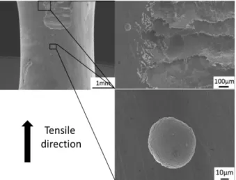 Fig. 10. SEM images of test surface after corrosion test under  a constant plastic strain of 0.1% for 48 hours
