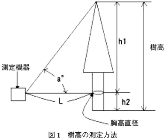 図 1 樹高の測定方法