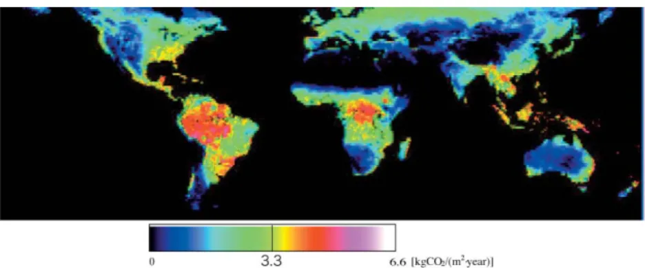 Figure 8 Global annual NPP from January to December 2003 as computed using ADEOS-II/GLI L 2 ACLC data