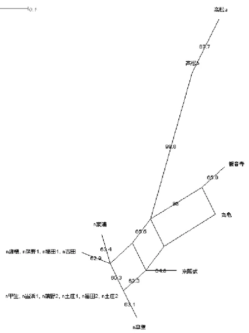 図 3-6  2012 年 2 拍名詞＋助詞の Neighbor Net 