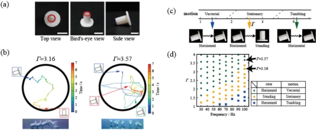 Figure 2.4: Behavior of a single bolt-like particle driven by vertical vibration. (a) Photos of the bolt-like particle used in the present study; bar is 5 mm
