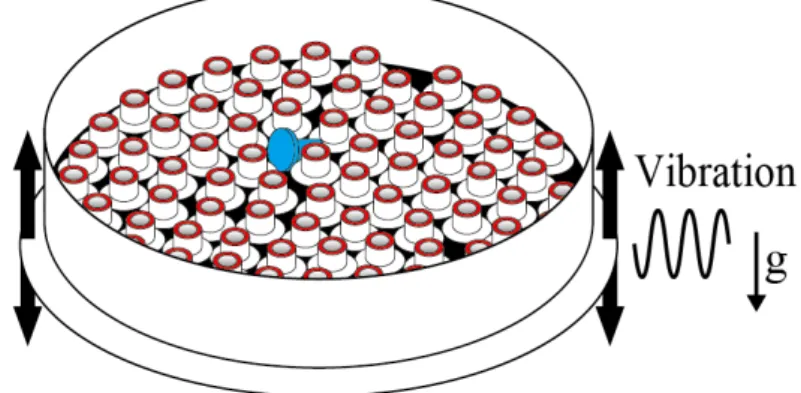 Figure 2.5: Schematic representation of the bolt-like particles (n = 521) arranged in a circular vessel with a diameter of 197 mm, which is placed on an aluminum plate.